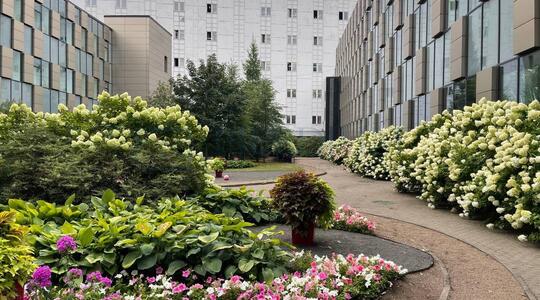 Бизнес-центр "Чайка плаза X" - Офисная недвижимость