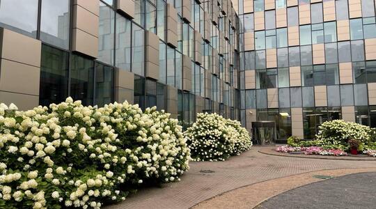 Бизнес-центр "Чайка плаза X" - Офисная недвижимость