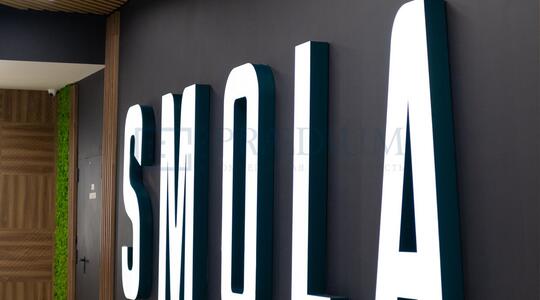 Бизнес-центр "Смольный 2" - Офисная недвижимость