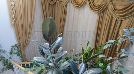 Полянка Б. ул, д 63 стр 1, Москва - Офисная недвижимость