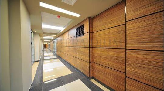 Офисная недвижимость Бизнес-центр "Victory Park Plaza"/ Бизнес-центр "Минская Плаза"