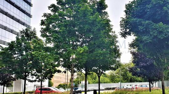 Бизнес-центр "MEBE One Khimki Plaza" - Офисная недвижимость